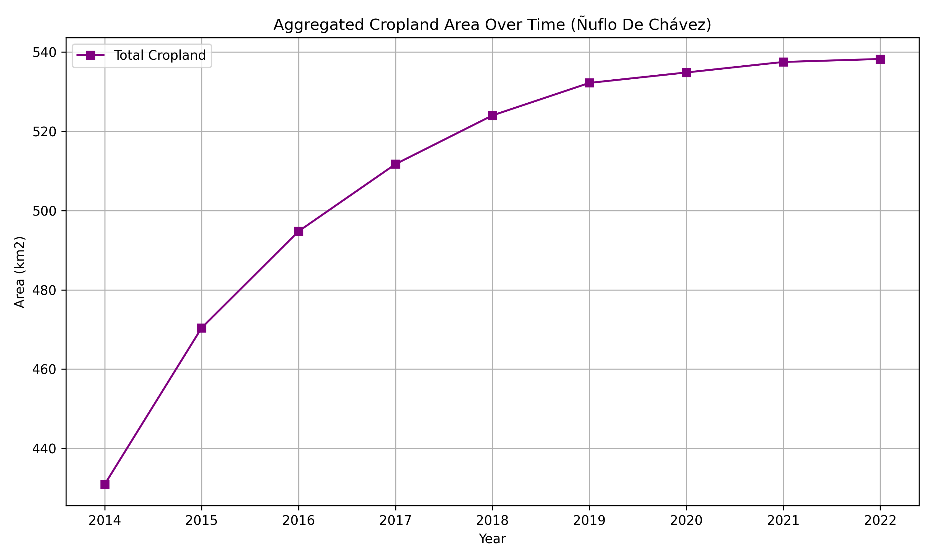 Cropland Analysis Guarayos